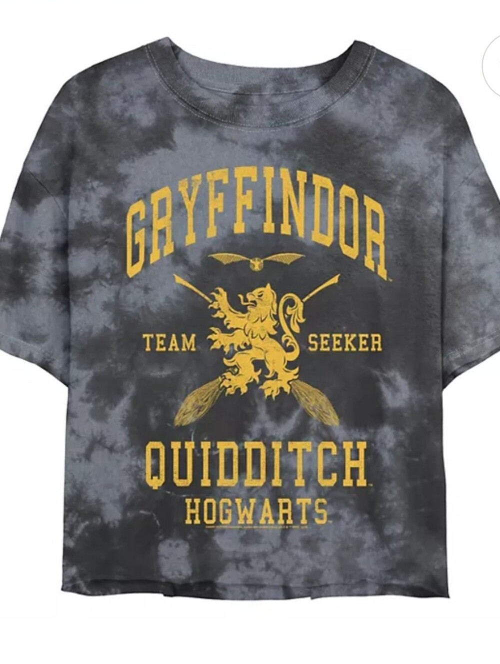 Harry Potter Gryffindor Quidditch Tee